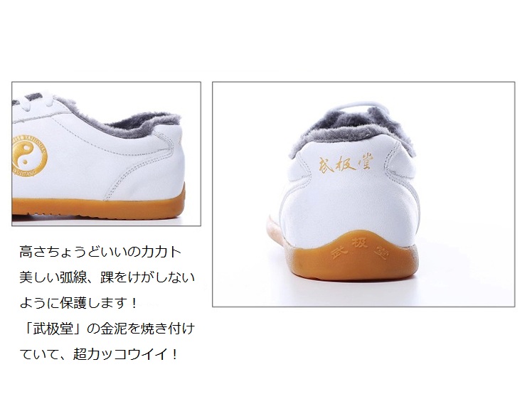 太極靴 Leather Tai Chi Shoes Detail image